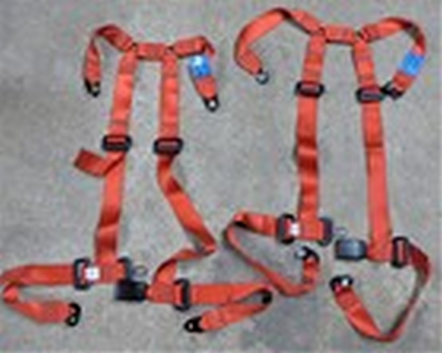 Harness - 4 Point (A/R)