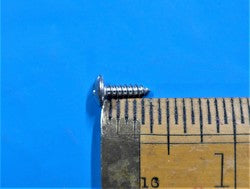 Sheet Metal Screw SS