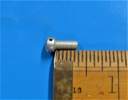 Fillister Screw