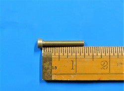 Fillister Screw