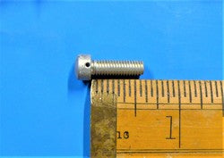 Fillister Screw