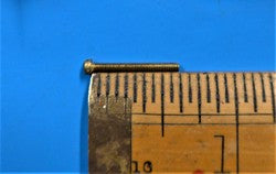 Fillister Screw