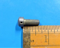 Fillister Screw