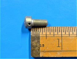 Fillister Screw