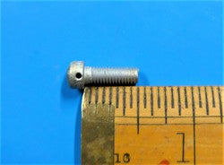 Fillister Screw