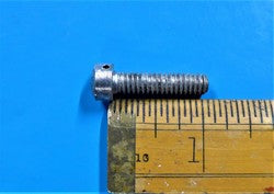 Fillister Screw