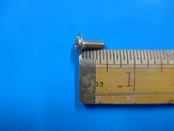 Washer Head Screw