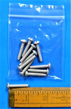 Self Tapping Screw (PKT 10)