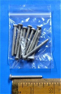 Self Tapping Screw (PKT 10)