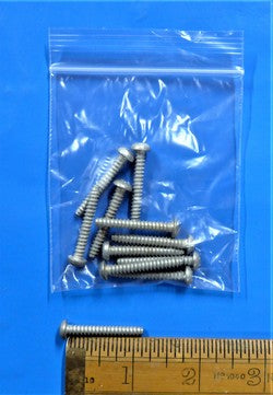 Self Tapping Screw (PKT 10)