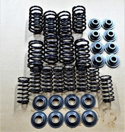 Double Valve Spring Kit - 2200
