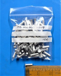 Solid Rivet (PKT 100)