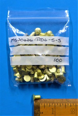 Solid Rivet (PKT 100)