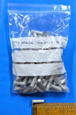 Solid Rivet (PKT 100)