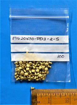 Solid Rivet (PKT 100)