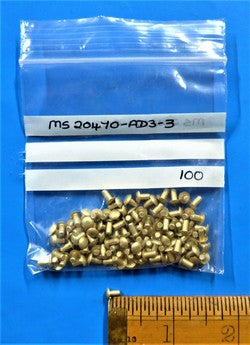 Solid Rivet (PKT 100)