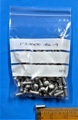 Solid Rivet (PKT 100)