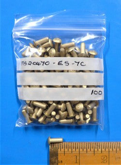 Solid Rivet (PKT 100)