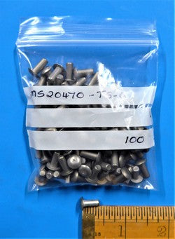 Solid Rivet (PKT 100)
