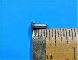 Solid Rivet