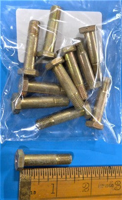 Hex Bolt (PKT 10)