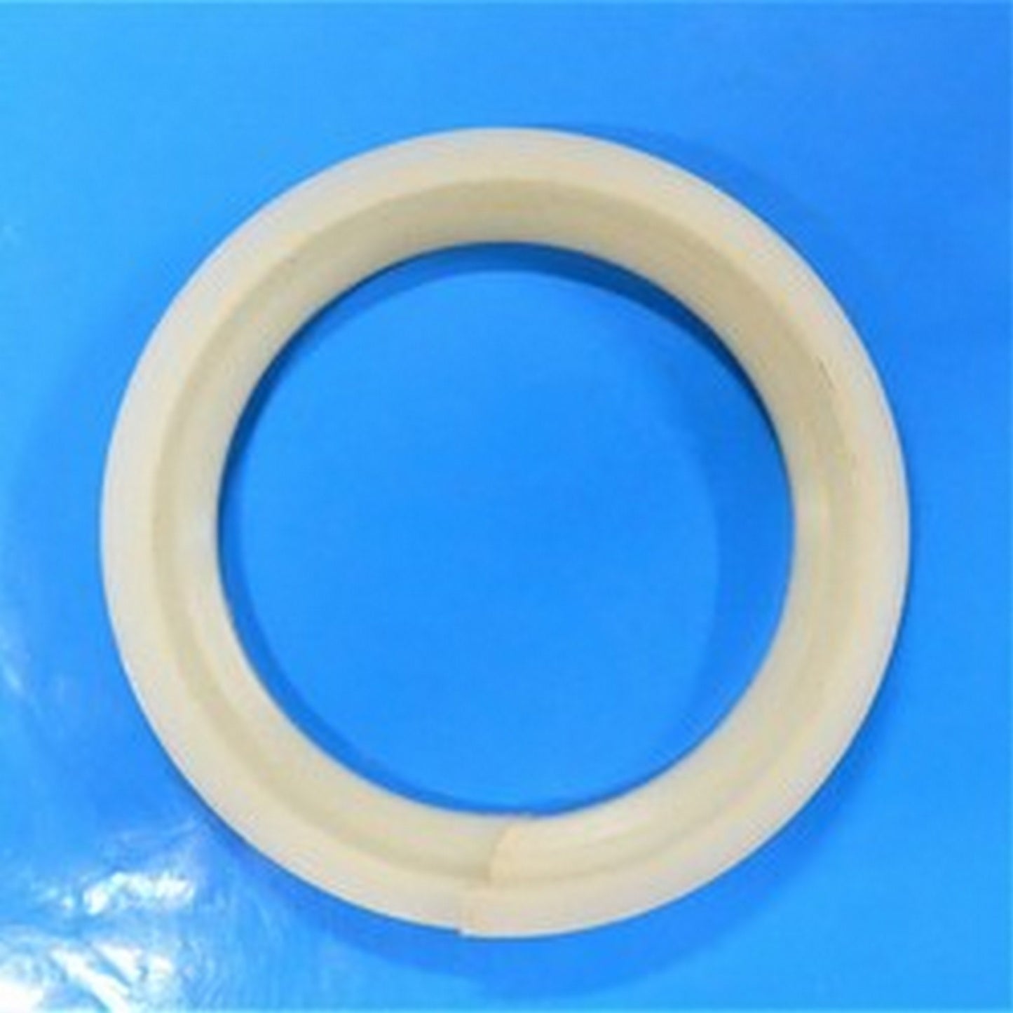 Nose Strut Seal (N/S)