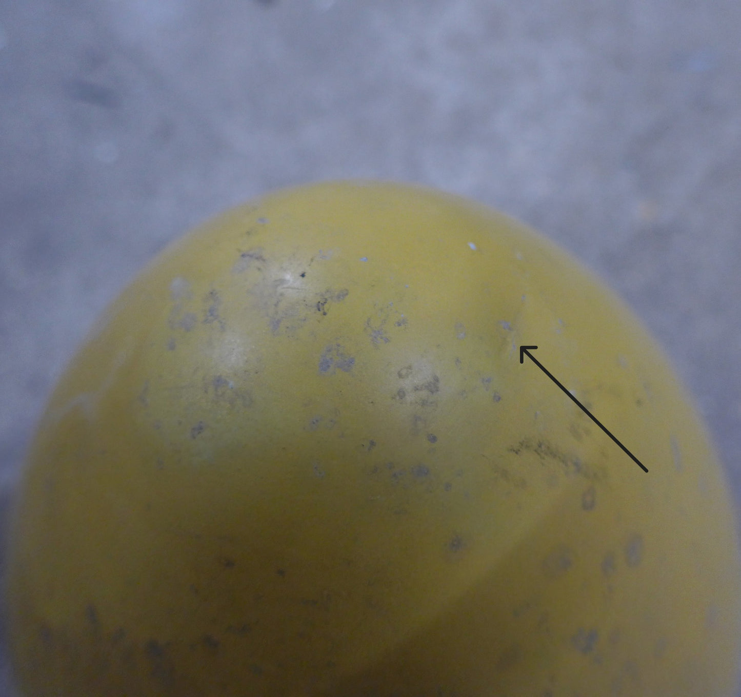 2 Blade Propeller Spinner & Back Plate Assembly (A/R)