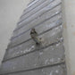 Aileron - Stripped - STB (A/R)