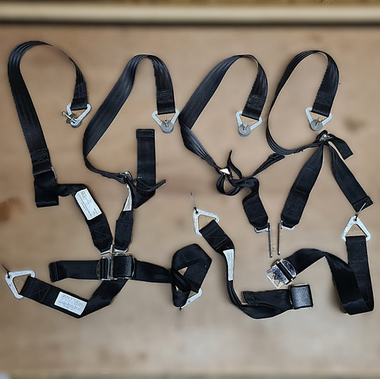 Davis Restraint Systems Seat Belt Set - Pair (A/R)