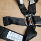 Davis Restraint Systems Seat Belt Set - Pair (A/R)