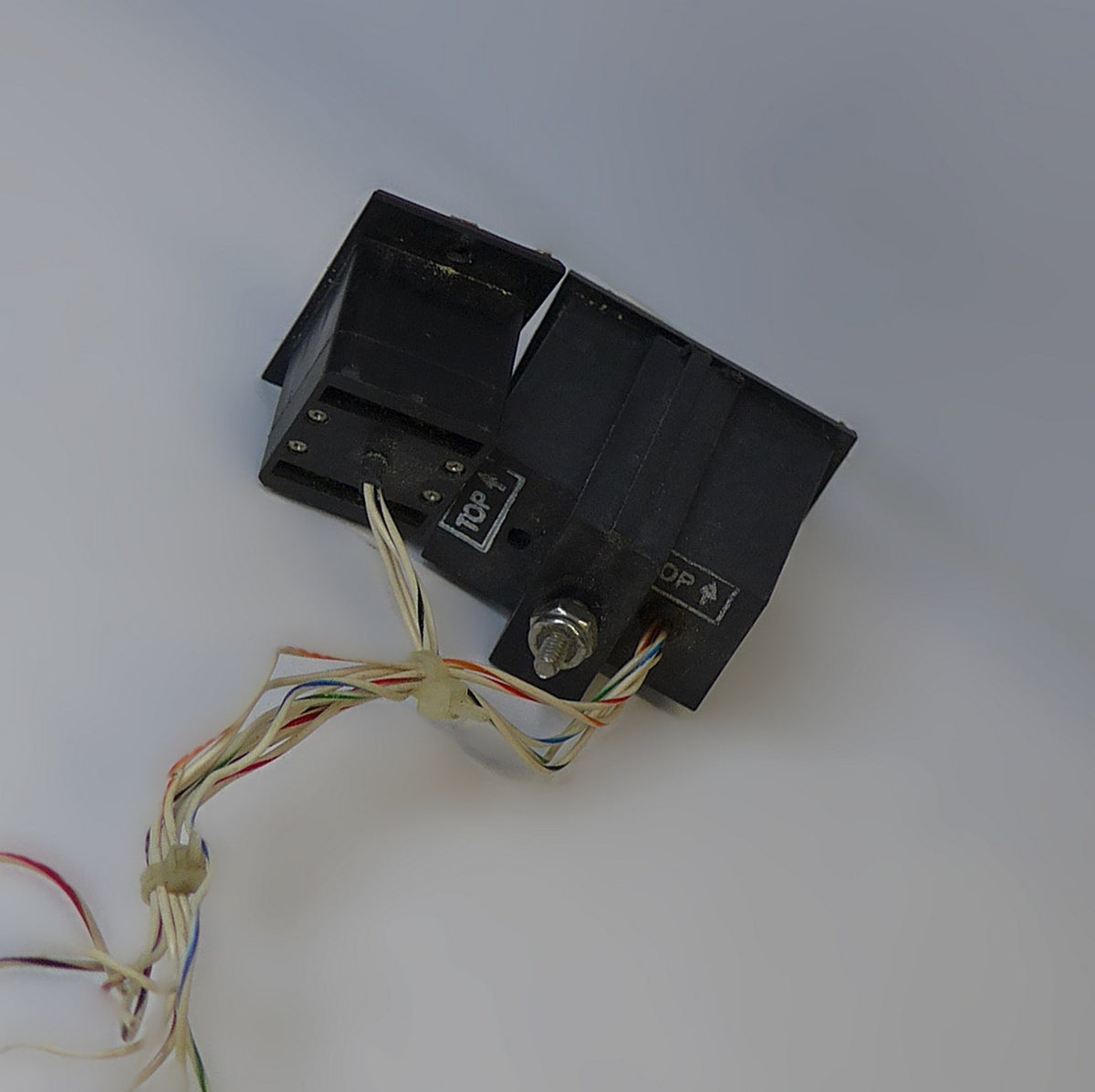 Trim Rocker Switch & Indicator Assy (A/R)