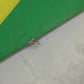 Horizontal Stabilizer - R/H - With Dacron Skin - X'AIR (A/R)