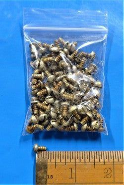 Self Tapping Screw (PKT 100)