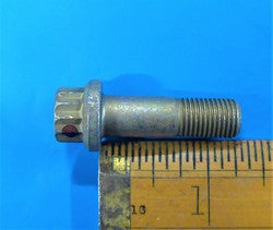 Twelve Point External Wrenching Bolt