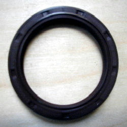 Viton Oil Seal NAK (Rear)